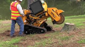 Stump Grinding Service
