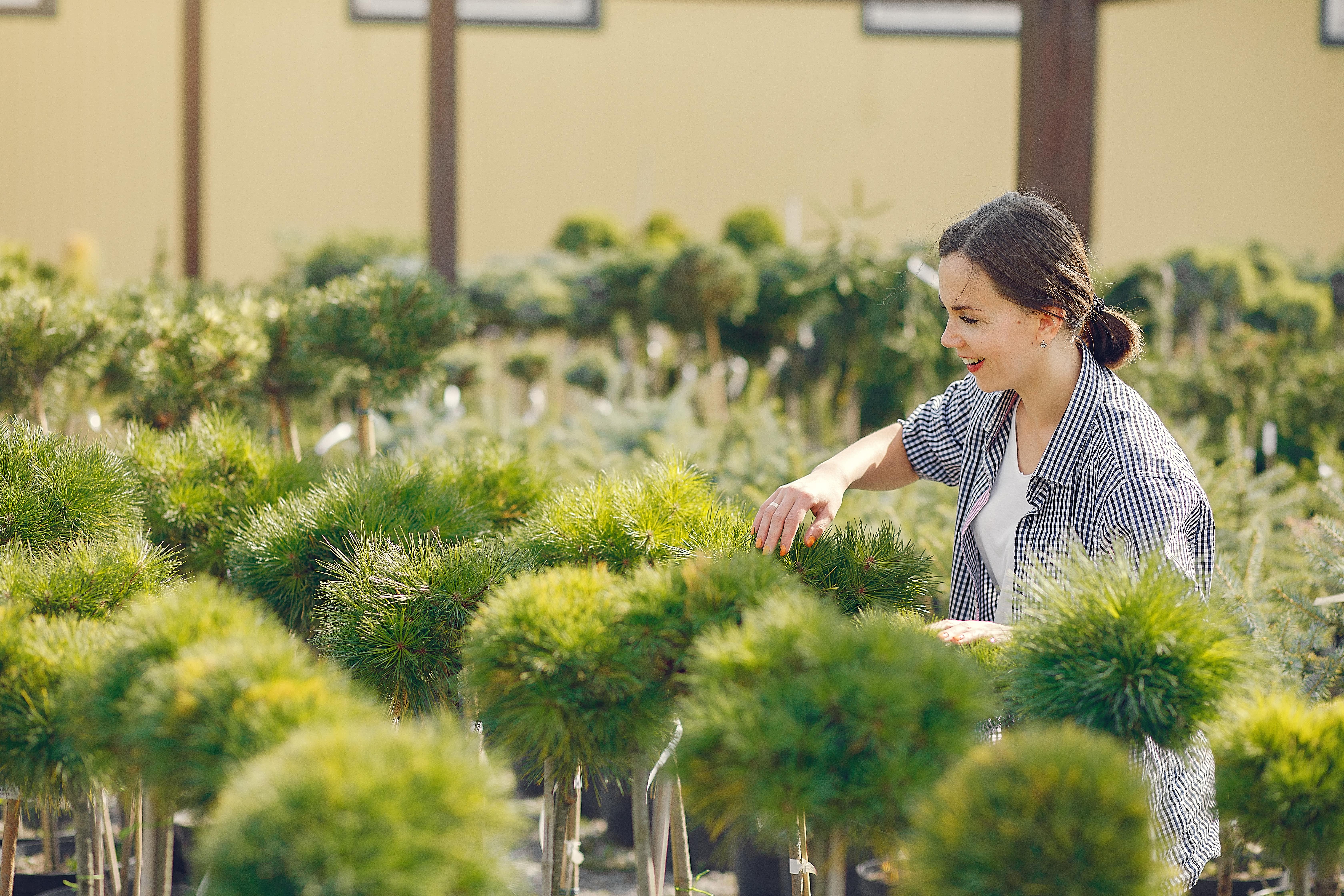 Tree Planting and Planning