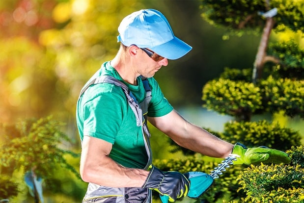 Landscaping Services