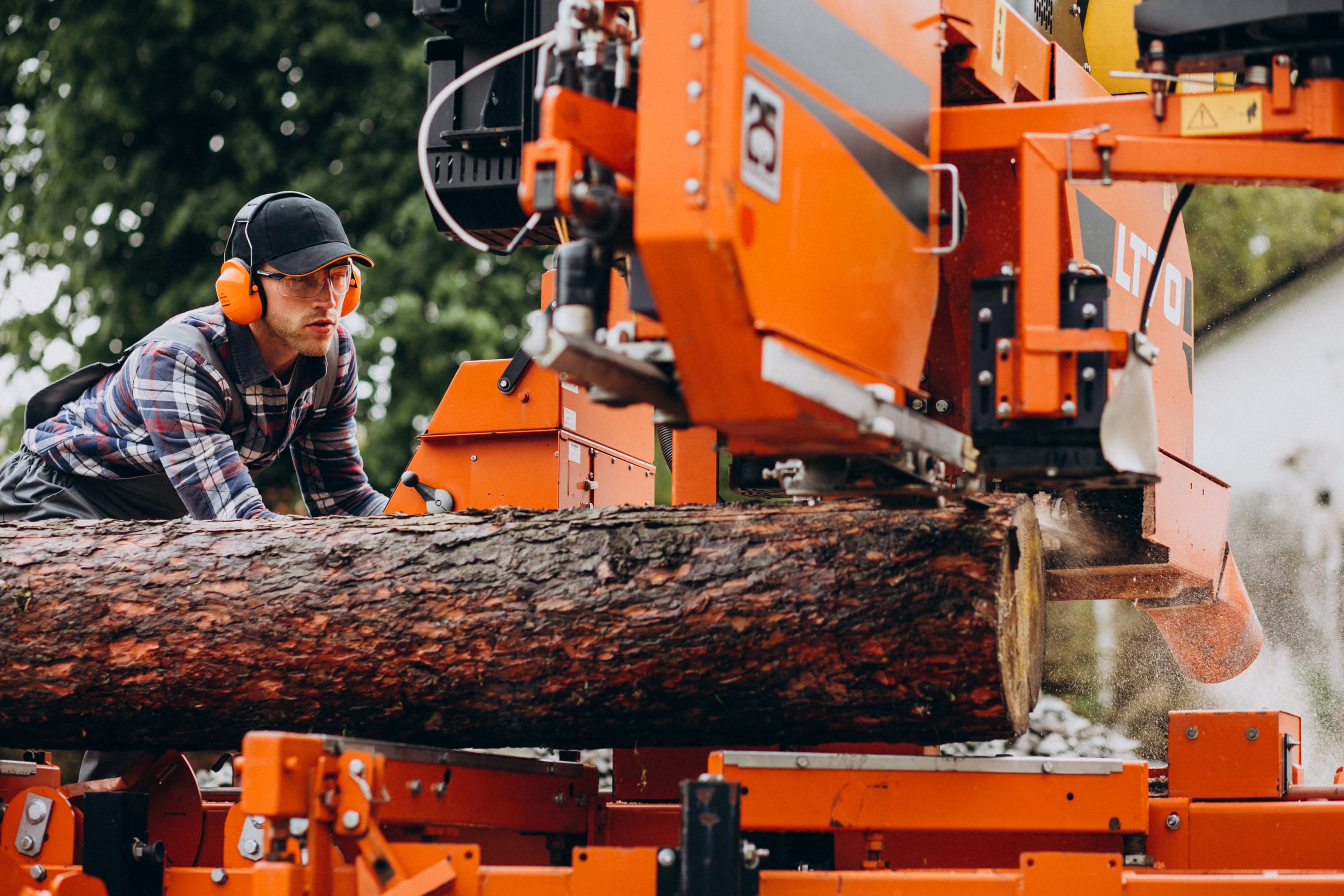 Tree Care Services